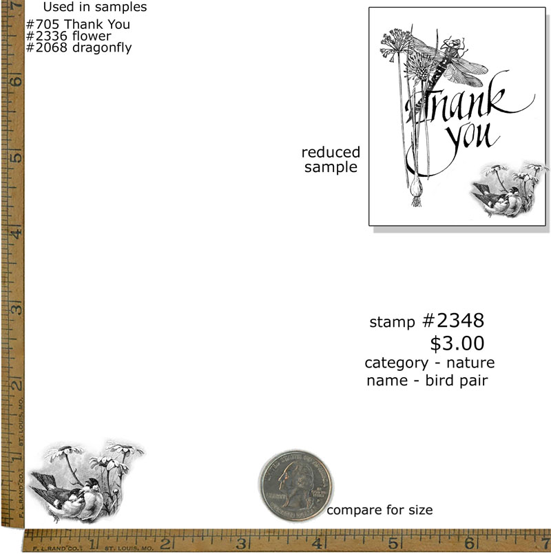 #2348 - Bird Pair - Nature